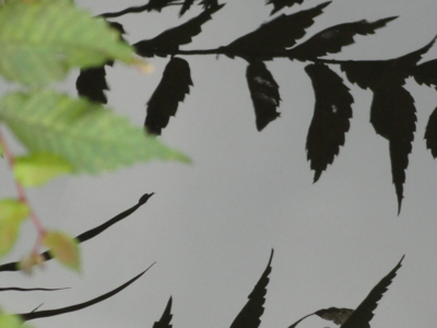 f:id:hatekota810:20100920185328j:image