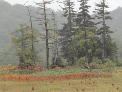 f:id:hatekota810:20100928193827j:image