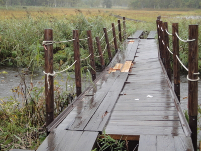 f:id:hatekota810:20100928193931j:image