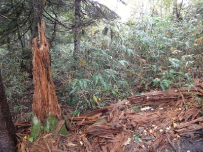 f:id:hatekota810:20100930195723j:image