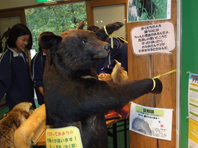 f:id:hatekota810:20101002185745j:image