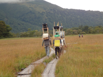 f:id:hatekota810:20101002190008j:image