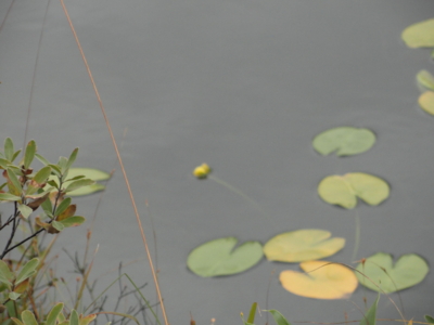 f:id:hatekota810:20101002190216j:image