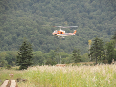 f:id:hatekota810:20101003185245j:image