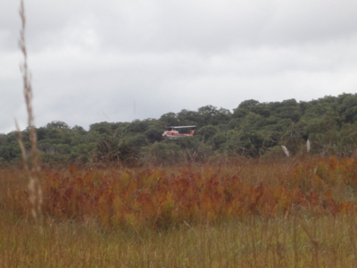 f:id:hatekota810:20101003190051j:image