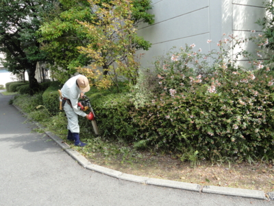 f:id:hatekota810:20101009185717j:image