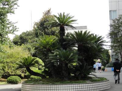 f:id:hatekota810:20101009190646j:image