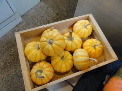 f:id:hatekota810:20101012195010j:image