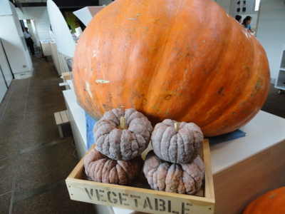 f:id:hatekota810:20101012200832j:image