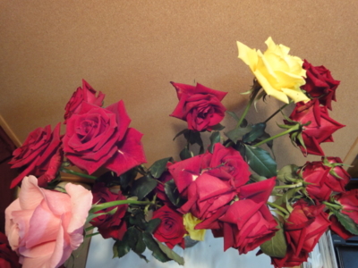 f:id:hatekota810:20101016190334j:image