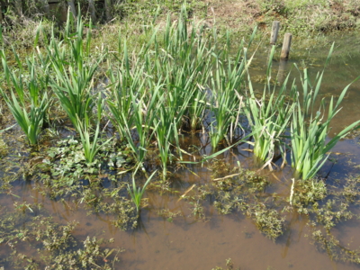 f:id:hatekota810:20101022200656j:image