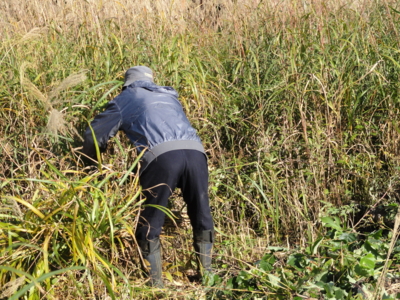 f:id:hatekota810:20101031051956j:image