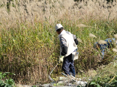 f:id:hatekota810:20101031052153j:image