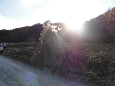 f:id:hatekota810:20101031052308j:image