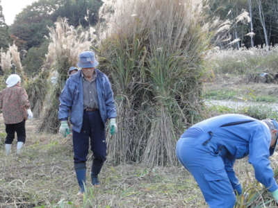 f:id:hatekota810:20101031052500j:image