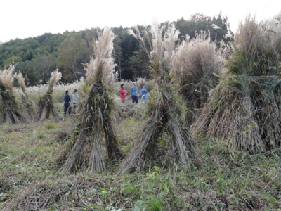 f:id:hatekota810:20101031052912j:image