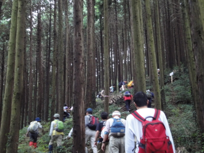 f:id:hatekota810:20101111190624j:image