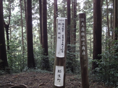 f:id:hatekota810:20101111191037j:image