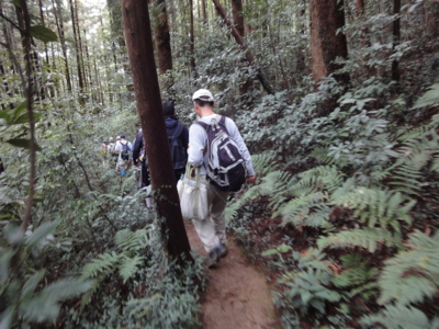 f:id:hatekota810:20101111193150j:image