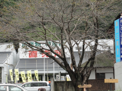 f:id:hatekota810:20101112191121j:image