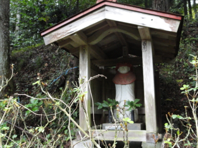 f:id:hatekota810:20101113184054j:image