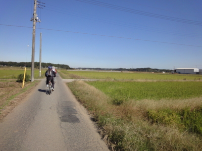 f:id:hatekota810:20101118191410j:image