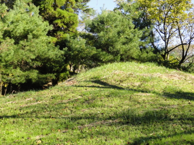 f:id:hatekota810:20101121190800j:image