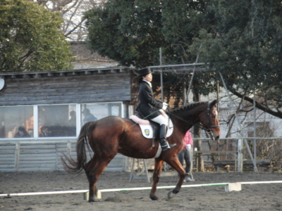 f:id:hatekota810:20101221200930j:image