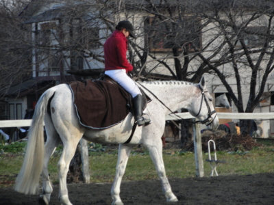 f:id:hatekota810:20101221201034j:image