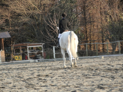 f:id:hatekota810:20101221201126j:image