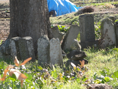 f:id:hatekota810:20101230181705j:image