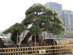 f:id:hatekota810:20110408193430j:image