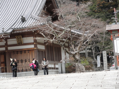 f:id:hatekota810:20110412194937j:image