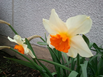 f:id:hatekota810:20110430150724j:image