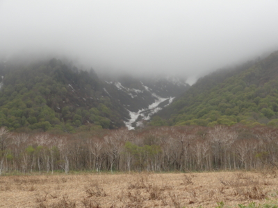 f:id:hatekota810:20110601192037j:image