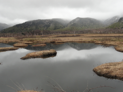 f:id:hatekota810:20110601192445j:image