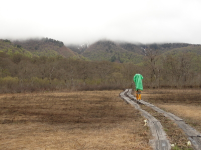 f:id:hatekota810:20110601192659j:image