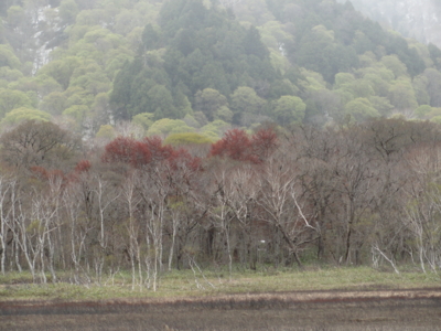 f:id:hatekota810:20110601192944j:image