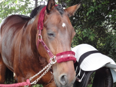 f:id:hatekota810:20110612163652j:image