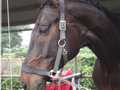 f:id:hatekota810:20110612164000j:image