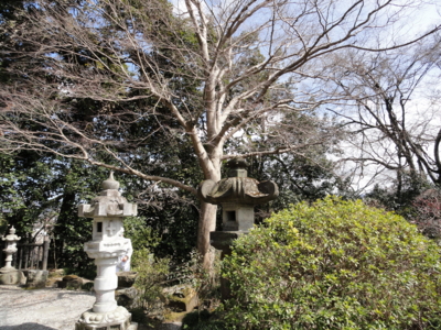 f:id:hatekota810:20110621193005j:image