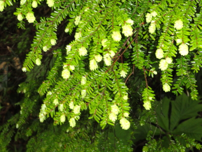 f:id:hatekota810:20110701201809j:image