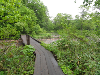 f:id:hatekota810:20110701202145j:image