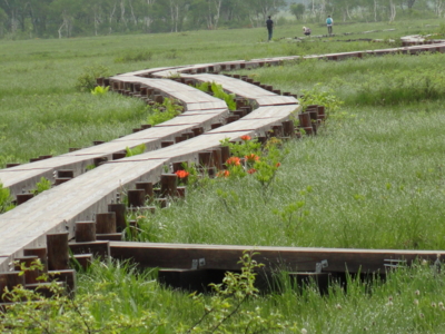 f:id:hatekota810:20110702200829j:image