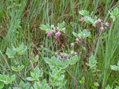 f:id:hatekota810:20110703180801j:image