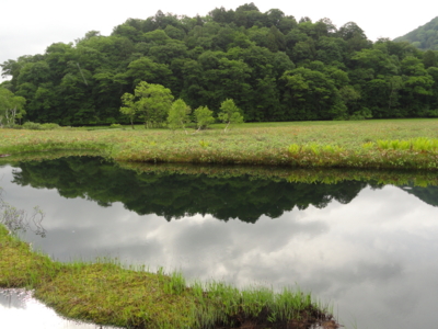 f:id:hatekota810:20110703180951j:image