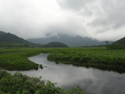 f:id:hatekota810:20110704191222j:image