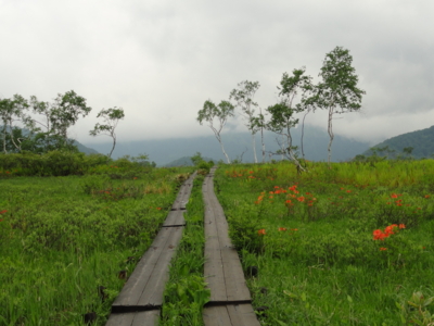 f:id:hatekota810:20110704192302j:image