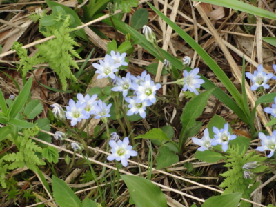 f:id:hatekota810:20110708213603j:image