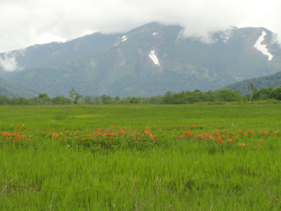 f:id:hatekota810:20110708213827j:image